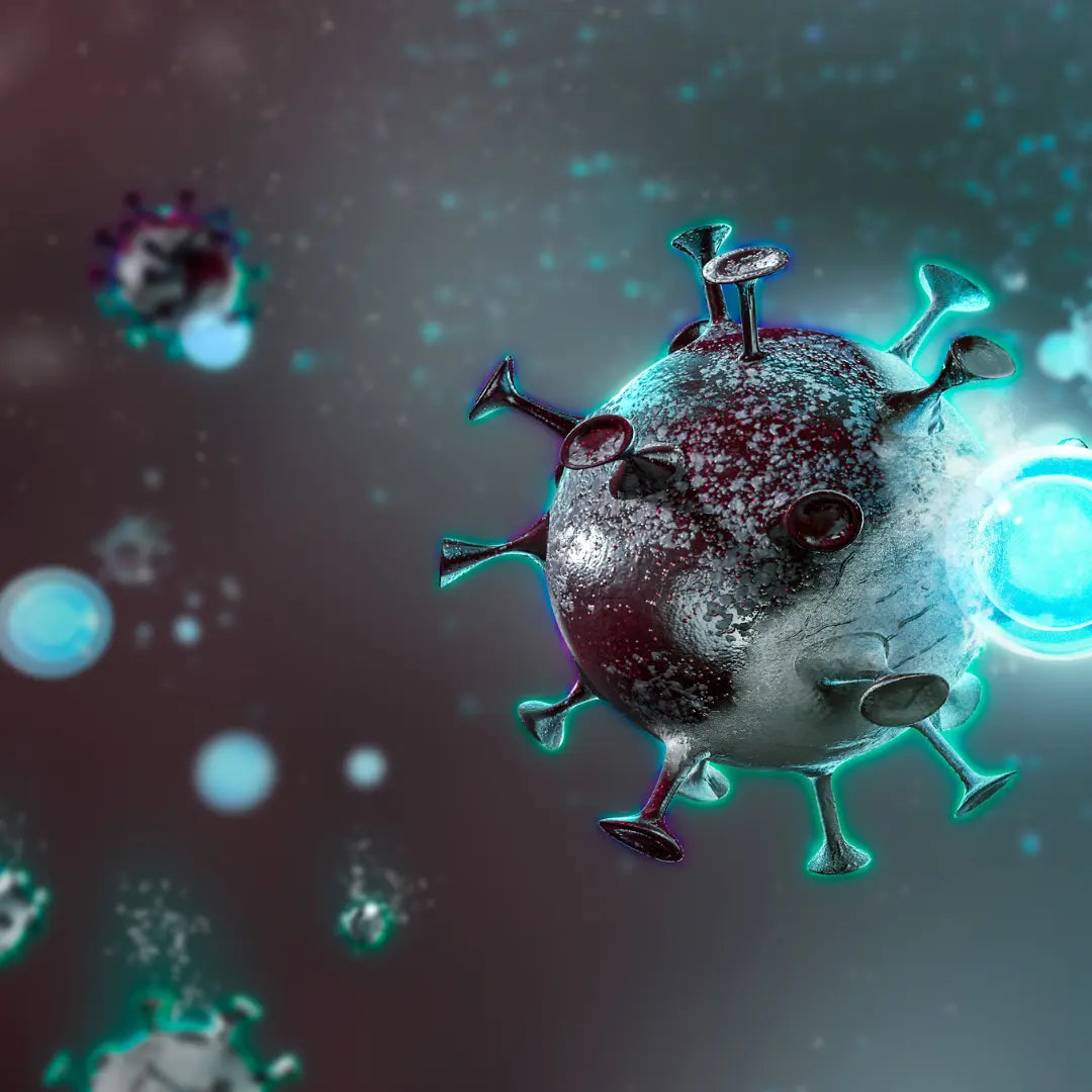 Inmunomodulador: Péptidos para un Sistema Inmune Equilibrado